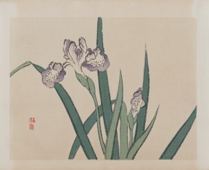 Kōno Bairei (1844-1895), wyd. Yamada Shinzaburo, Irysy, Kioto, 1913 r.