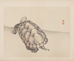 Kōno Bairei (1844-1895), wyd. Yamada Shinzaburo, Żółw, Kioto, 1913 r.