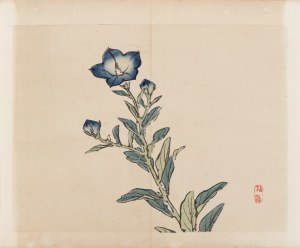 Kōno Bairei (1844-1895), wyd. Yamada Shinzaburo, Niebieskie kwiaty, Kioto, 1913 r.