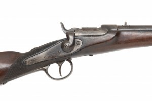 Werndl M1867 hunting rifle | Austria, Austrian