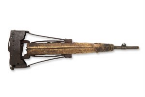 Air bladder from a pneumatic rifle