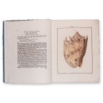 MARTINI, Friedrich Heinrich Wilhelm, CHEMNITZ, Johann Hieronymus: Neues systematisches Conchylien-Cabinet. Einband XII. Band I.