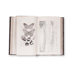 Natur und Offenbarung (9 bindings)