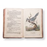 BOROWSKI, Georg Heinrich (1746-1801) : L'histoire naturelle des Tierreichs II