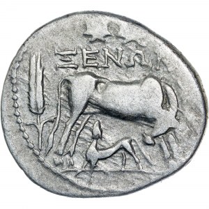 Grèce - Illyrie, Apollonia, Drachme vers 229 av.