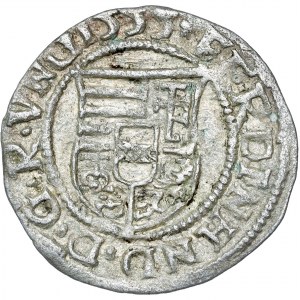 Ferdinand Ier (1521-1564) Denar 1555 NC