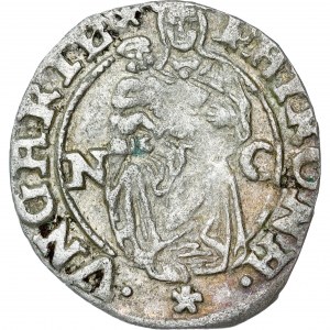 Ferdinand I. (1521-1564) Denar 1555 NC