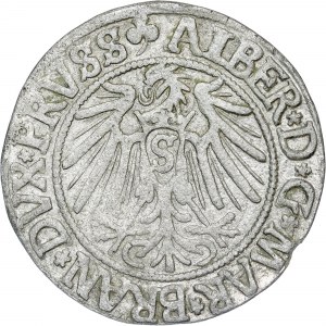 États allemands - Albert Hohenzollern, Groschen Königsberg 1541