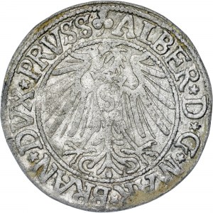États allemands - Albert Hohenzollern, Groschen Königsberg 1542