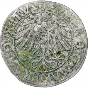 États allemands - Albert Hohenzollern, Groschen Königsberg 1542