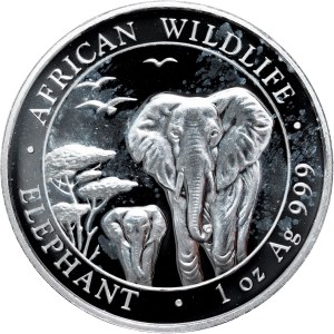 Somalia - 100 Shillings 2015 Elephant