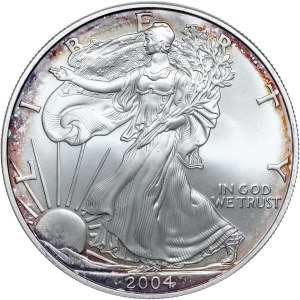 États-Unis - Walking Liberty 2004 Dollar d'argent