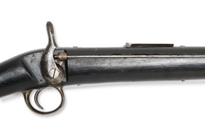 Training rifle 