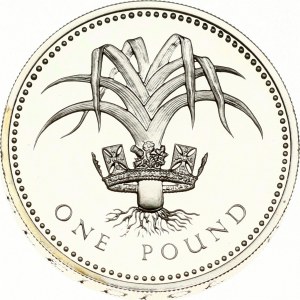 Great Britain Pound 1985 Welsh Leek