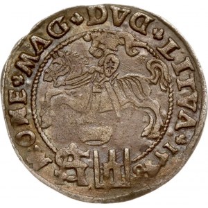 Lituania Grosz polacco 1546 Ex collezione ISH Inedito!