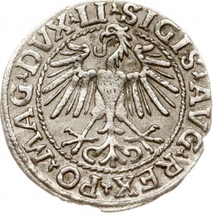 Lithuania Polgrosz 1548 Vilnius