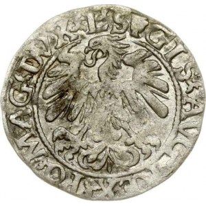 Lithuania Polgrosz 1559 Vilnius (R) - Depicted in Catalogue