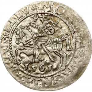 Lithuania Polgrosz 1561 Vilnius
