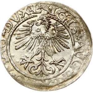 Lithuania Polgrosz 1561 Vilnius