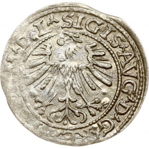 Lithuania Polgrosz 1563 Vilnius