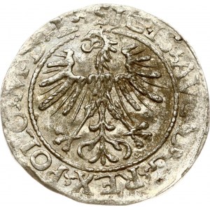 Lithuania Polgrosz 1564 Vilnius