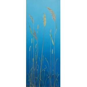 Katarzyna Wendland (née en 1979 à Szczecin), Reeds, 2025