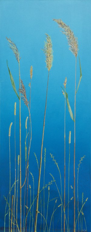Katarzyna Wendland (b. 1979, Szczecin), 