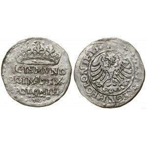 Polska, grosz, 1527, Kraków