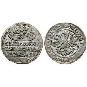 Polska, grosz, 1528, Kraków