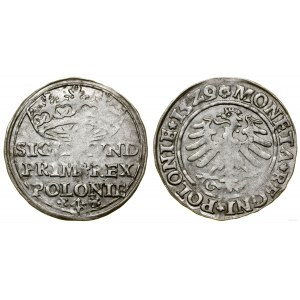 Polska, grosz, 1529, Kraków