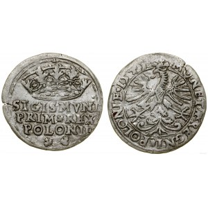 Polska, grosz, 1545, Kraków