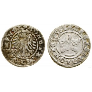 Polska, półgrosz, 1508, Kraków
