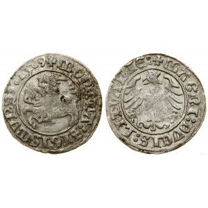 Polska, półgrosz, 1509, Wilno