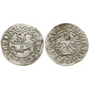Polska, półgrosz, 1511, Wilno