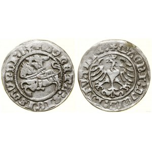 Polska, półgrosz, 1513, Wilno