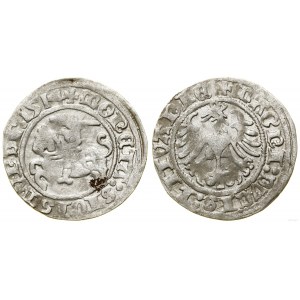 Polska, półgrosz, 1514, Wilno