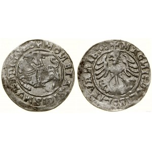 Polska, półgrosz, 1520, Wilno