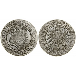 Polska, grosz, 1531, Toruń