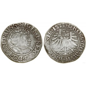 Polska, grosz, 1533, Toruń