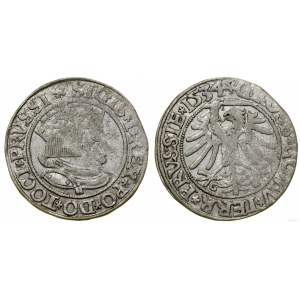 Polska, grosz, 1534, Toruń