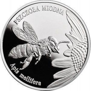 III RP, 20 złotych 2015 - Pszczoła miodna (łac. Apis mellifera)
