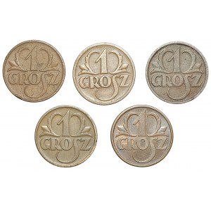 II RP, 1 grosz (1925-1938), zestaw 5 sztuk monet