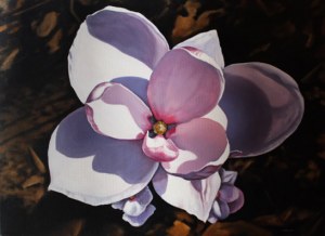 Magdalena Laskowska, Magnolie II, 2013 r. 