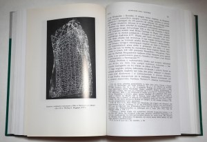 LABUDA GERARD Fragments of the history of Western Slavonia, Poznań 2002.