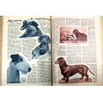 PRZEWODNIK KATOLICKI Pismo ilustrowane dla rodzin katolickich ROK XLII [rocznik 1936 r.]