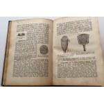 CIESIELSKI T. [dr] Bartnictwo czyli hodowla pszczół dla zysku (...) Gospodarka w pasiece [LWÓW 1925]