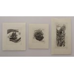 [ALEKSANDER JANTA [collection de trois ex-libris].