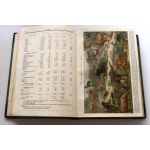 ILUSTROWANA ENCYKLOPEDIA Trzaski, Evarta i Michalskiego TOM I-VI [ładny komplet w obwolutach z suplementem]