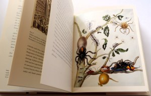 ATTENBOROUGH DAVID Amazing Rare Things [A beautifully illustrated volume devoted to nature drawings and watercolors by prominent artists of the Age of Geographic Discovery].