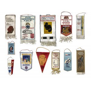 Boxwimpel-Set